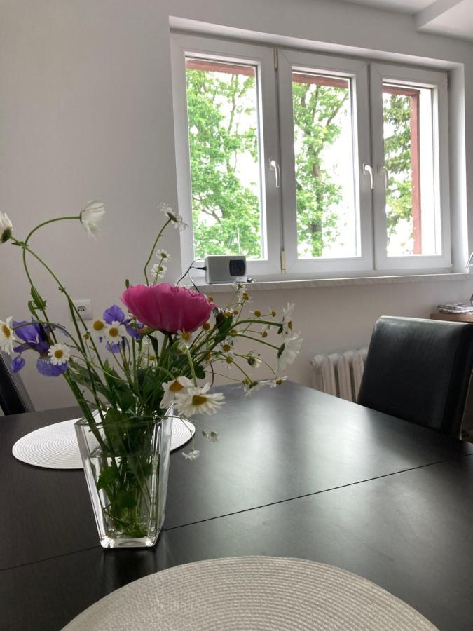 Karolewo  Apartament Karolewo מראה חיצוני תמונה